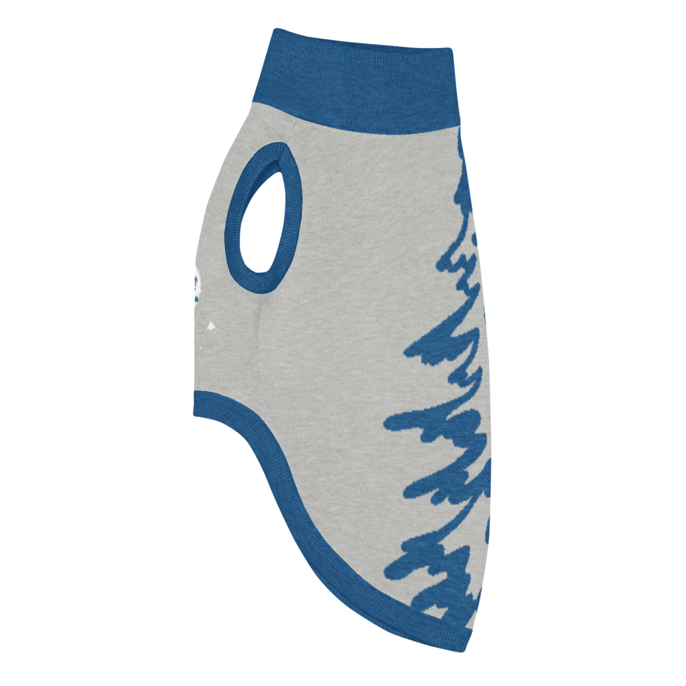 Santa's Sleigh Team (Pet Edition)