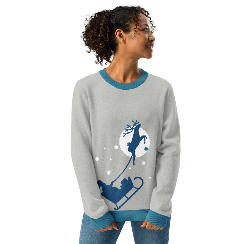 Santa's Cozy Sleigh Team