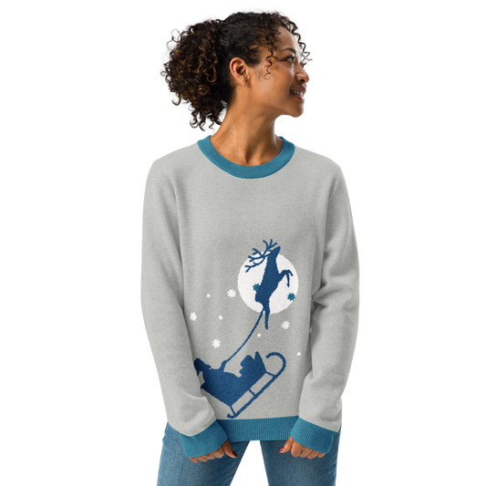 "Santa's Sleigh Team Sweaters - Matching Christmas Outfits for You and Your Pet"