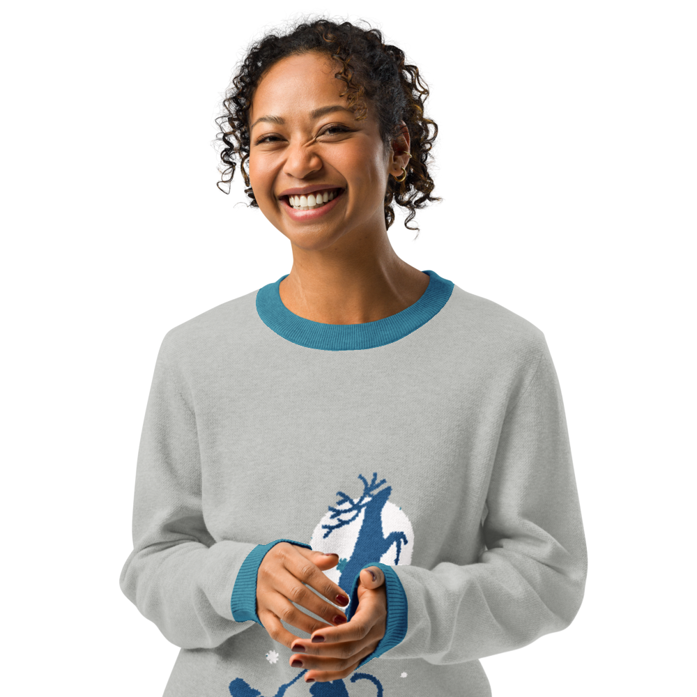 Santa's Cozy Sleigh Team