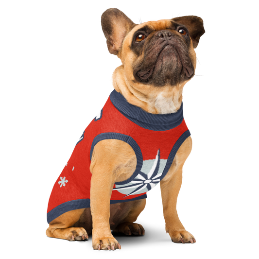 "Matching 'Let It Snow' Christmas Sweater - For Dogs & Their Humans - Cozy Knit Set"