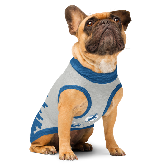 Santa's Sleigh Team Sweaters - Matching Christmas Outfits for You and Your Furry Co-Pilot!